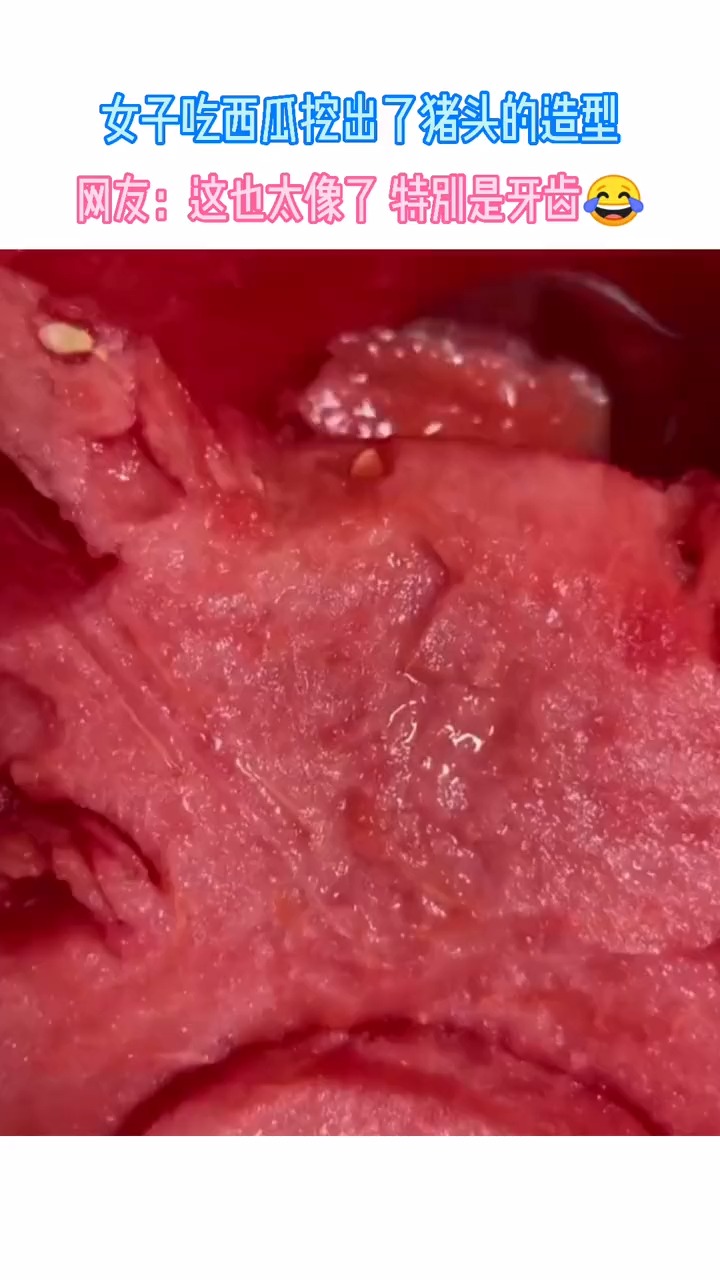 女子吃西瓜挖出了猪头的造型网友这也太像了特别是牙齿人才厉害