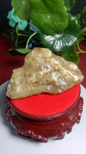 罗布泊地表蛋白原石