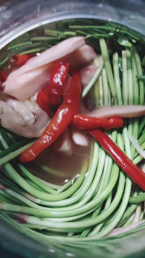 北方的蒜苔和西南方向的 辣椒萝卜白菜在常州这种吃法叫四川泡菜!