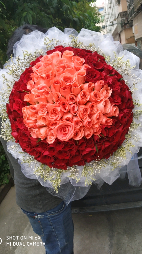 199朵超大求婚玫瑰花束