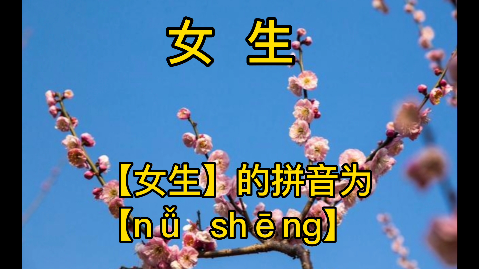 女生的拼音及释义