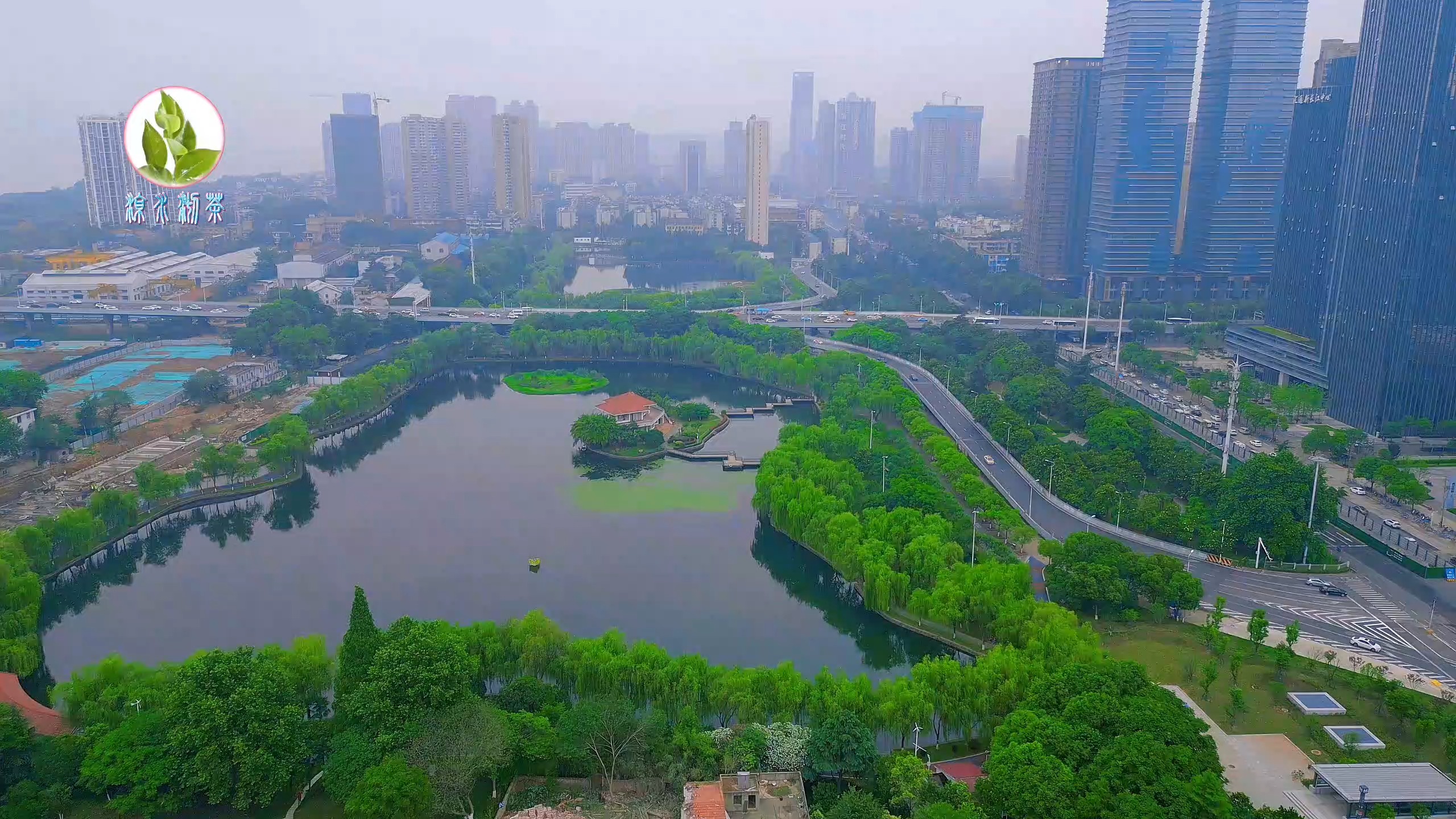 航拍武汉#俯瞰四美塘公园