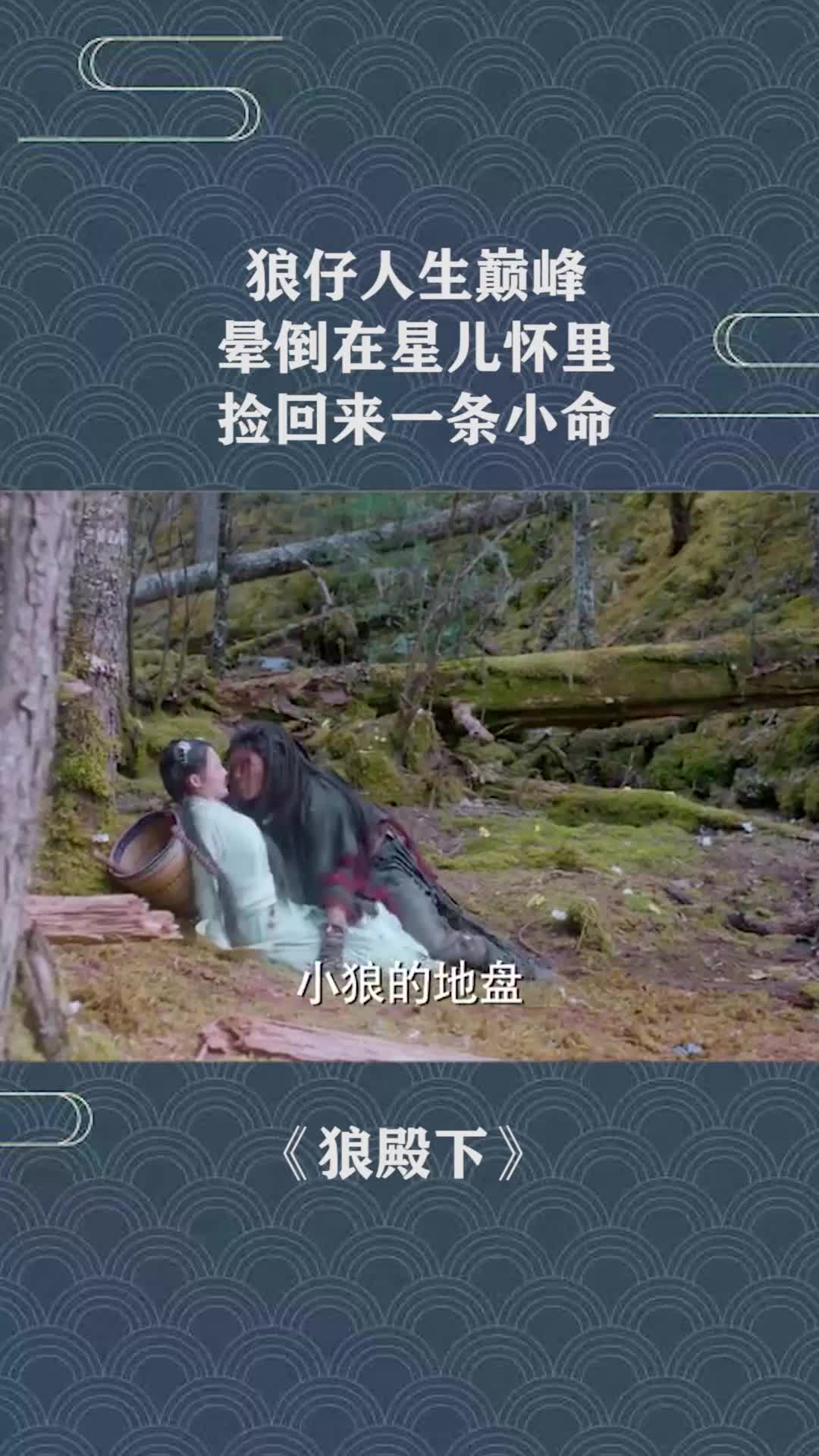 狼仔人生巅峰,晕倒在星儿怀里,捡回来一条小命