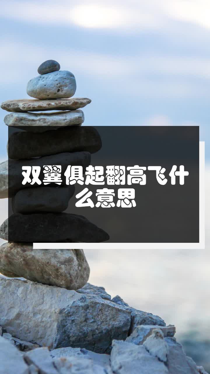 双翼俱起翻高飞什么意思