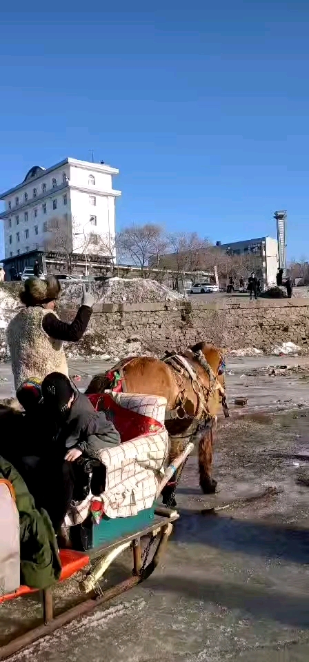大东北拉爬犁