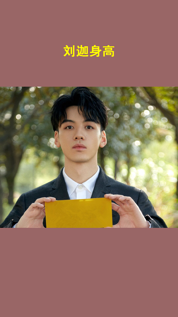 刘迦身高