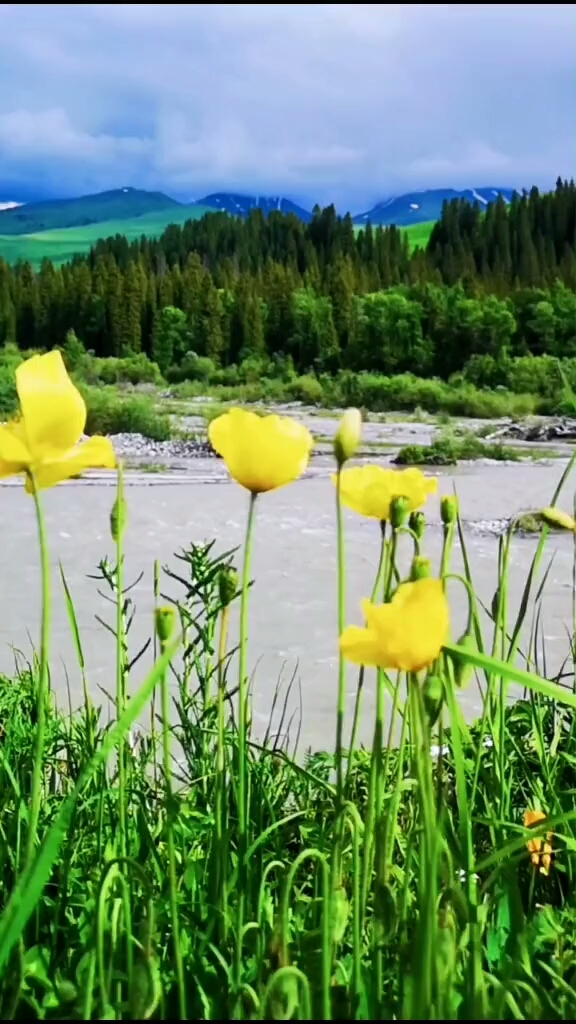 用心倾听大自然的声音