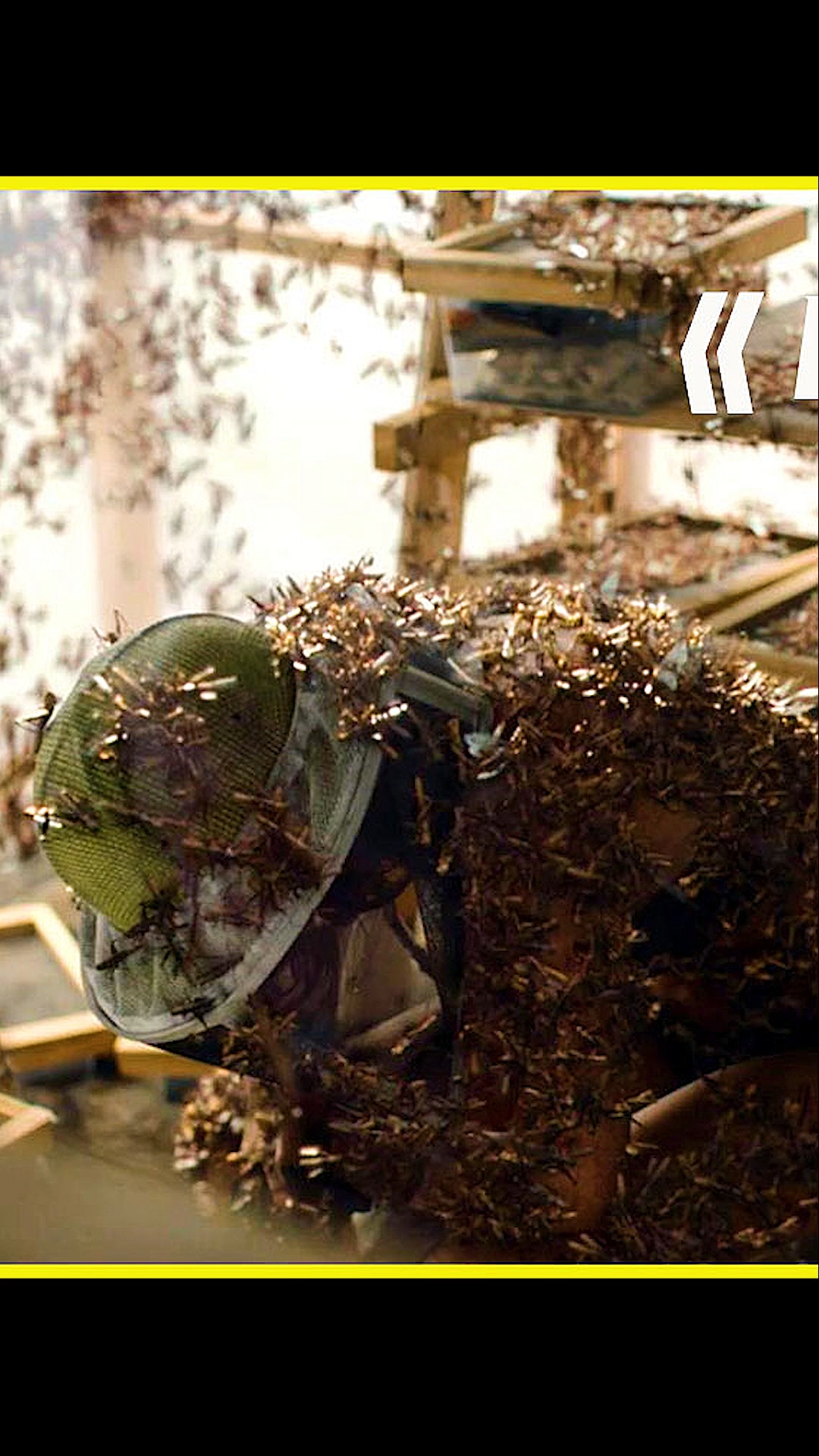 好看电影单身母亲饲养吃人蝗虫