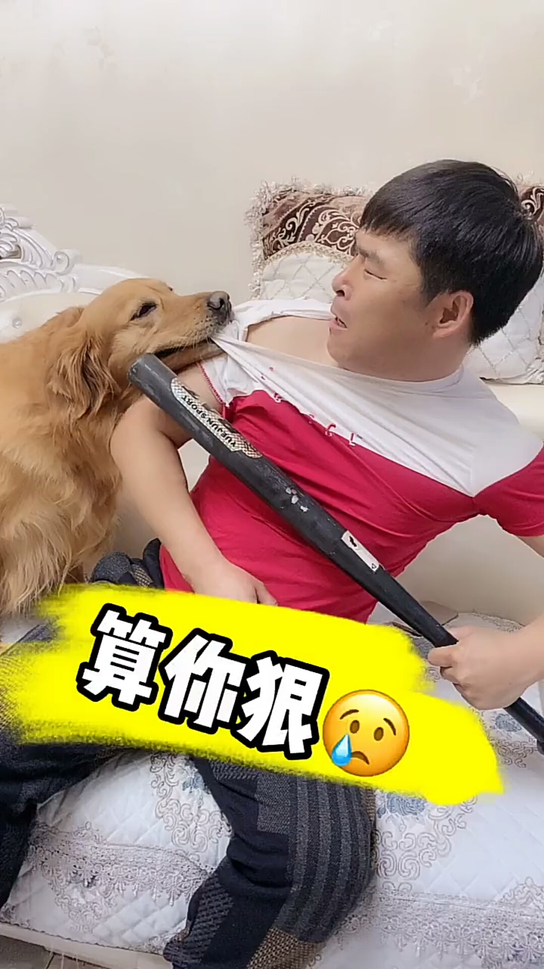我要上热门#铲屎官被揍了,金毛要给他报仇