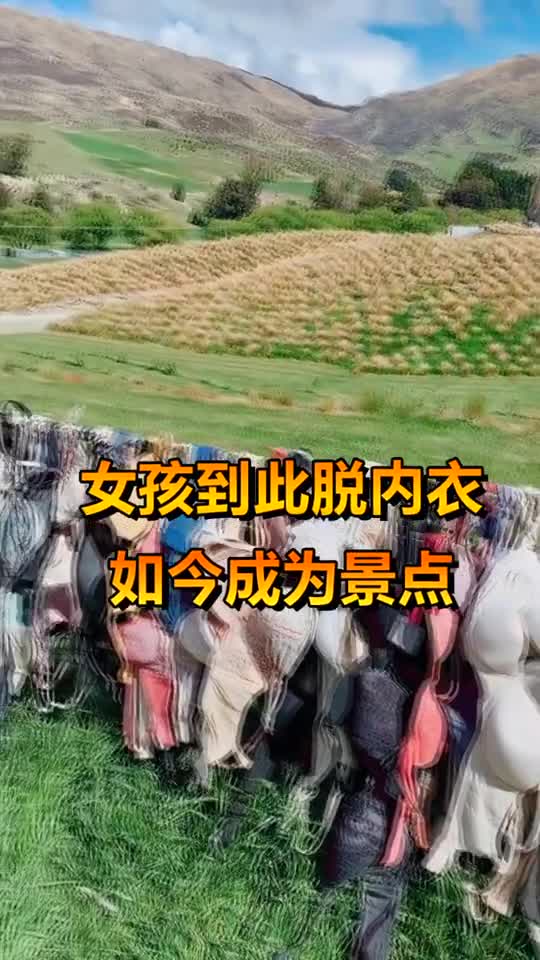 女人脱内衣连锁图片