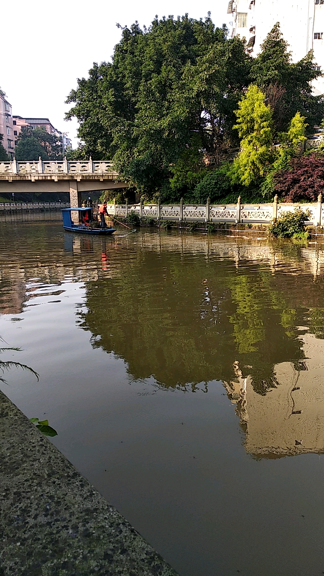 为了巴川河的美丽,环卫工人一大早就开始清理河中的垃圾,为他点赞