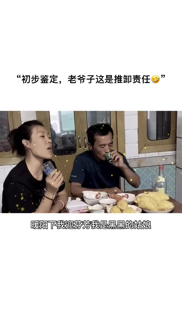 东北小黑姐搞笑改编这是老爷子在推卸责任