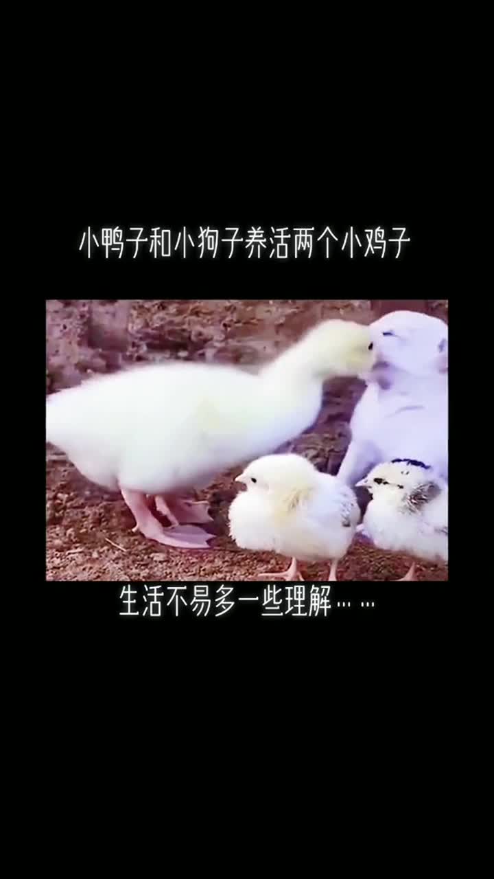 唉人生那能都如意啊两口子能一辈子生活在一起就得相互理解和宽容然而