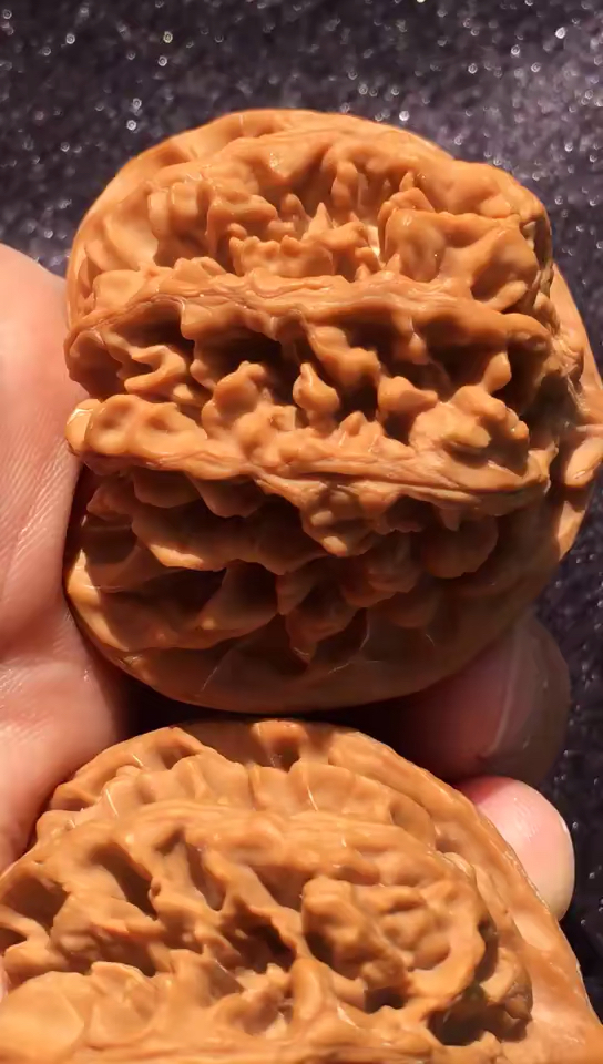 文玩核桃#48尺寸的状元冠!-度小视