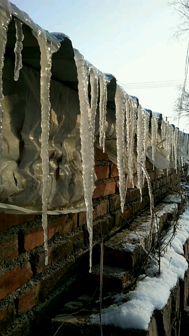 这就是东北的,冰溜子,你见过吗