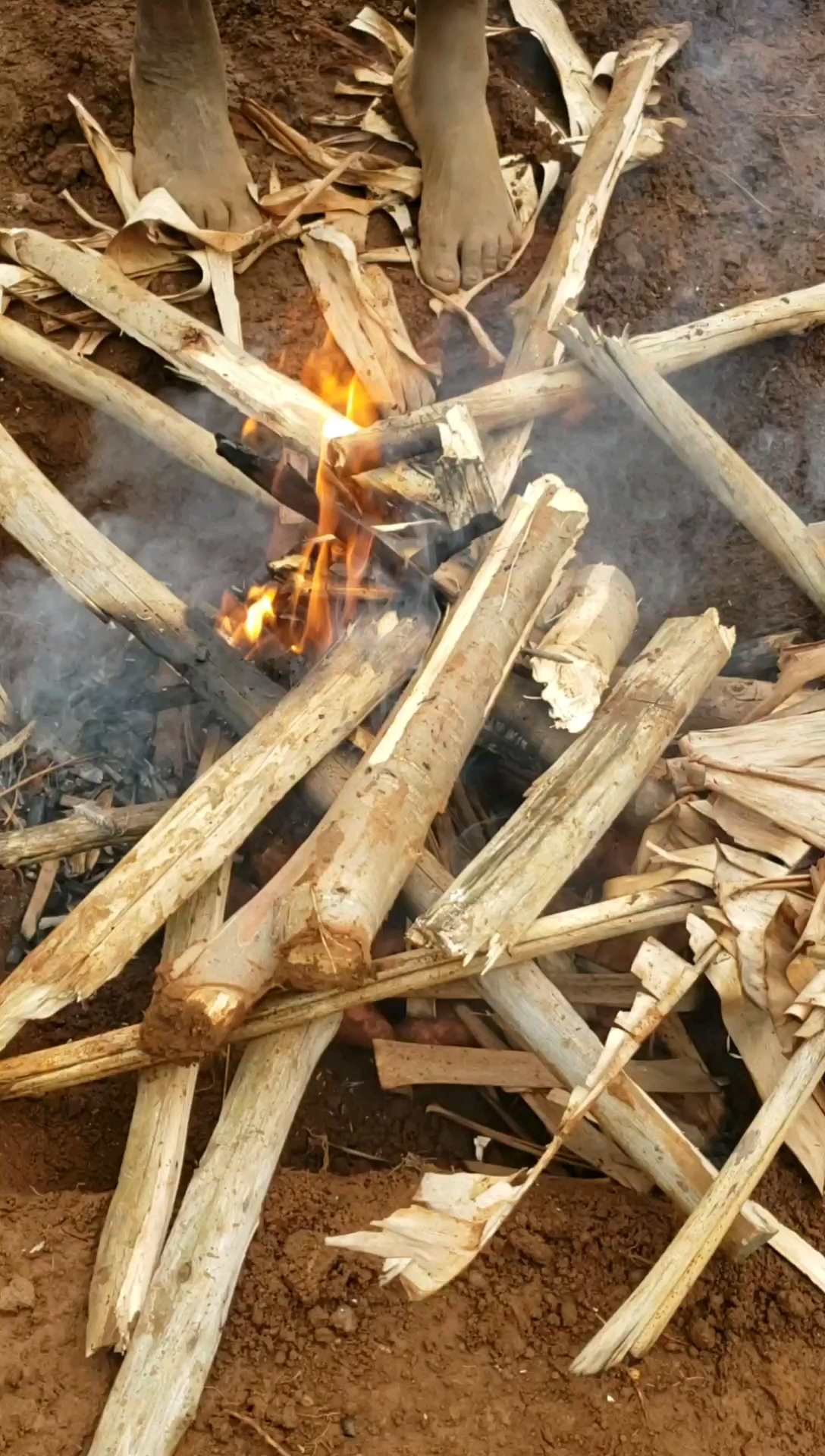 去乡下工人家里,工人请我们吃烤红薯,但红薯都是放在火堆下面烤,不