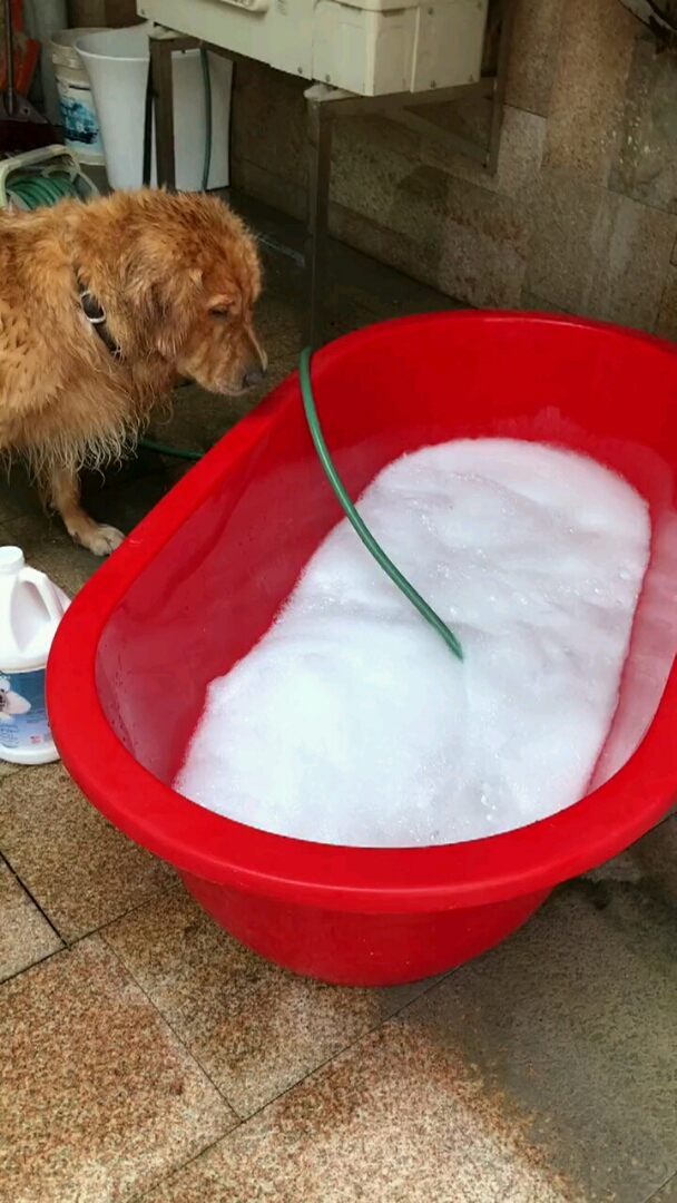 今天给哥哥洗香香啦#洗呀洗呀洗