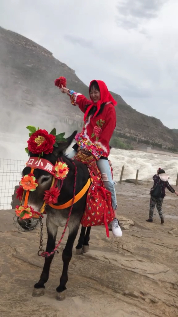 我在黄河骑着小毛驴