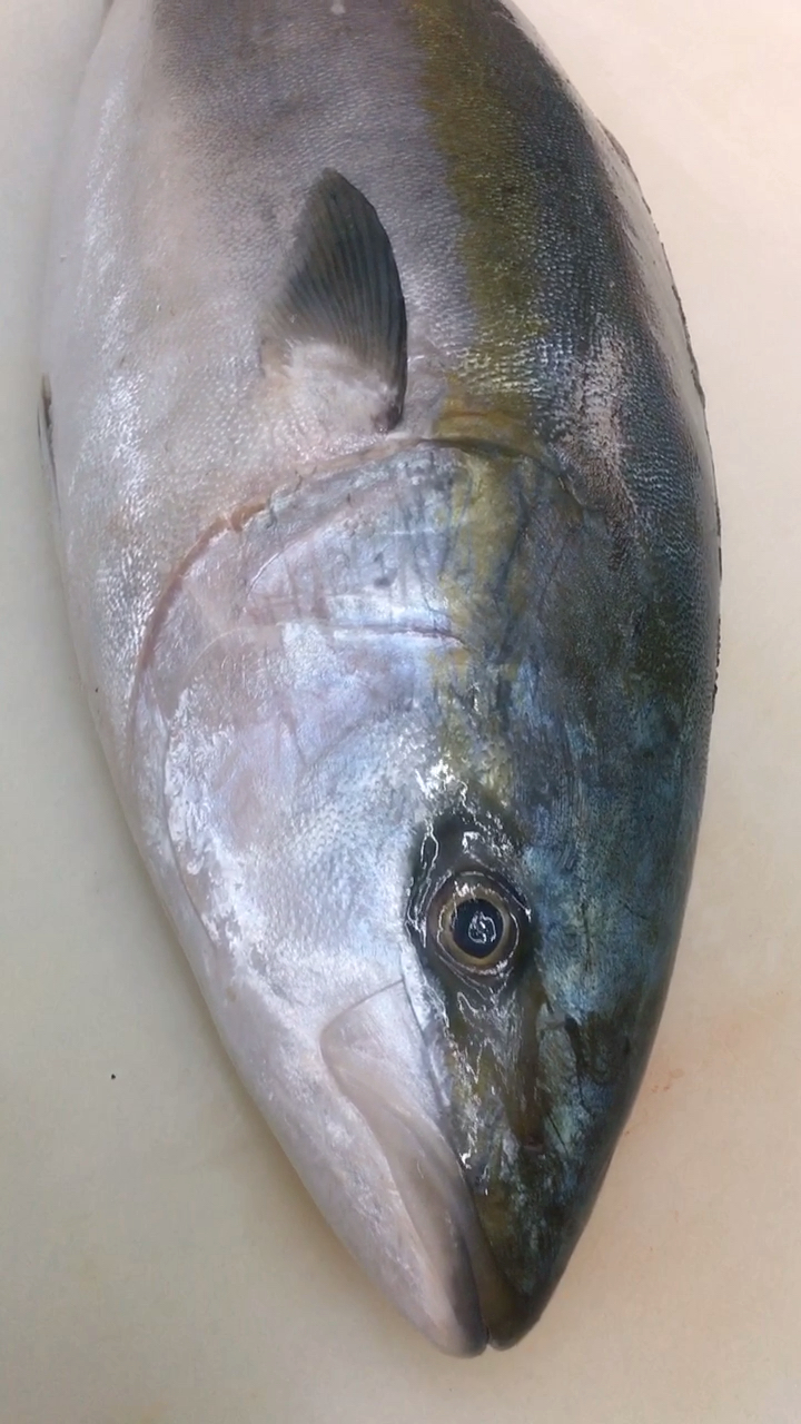 廣東美食.油甘鱼