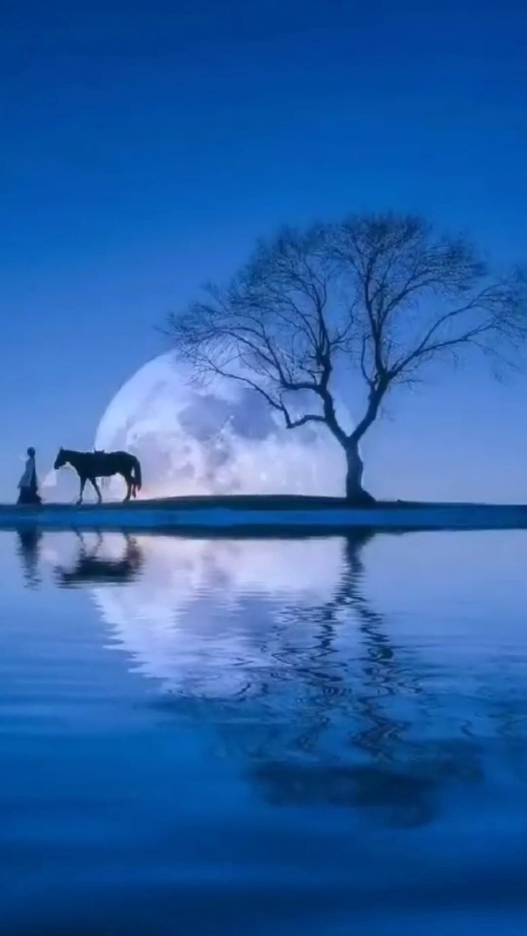 人生如梦,一樽还酹江月