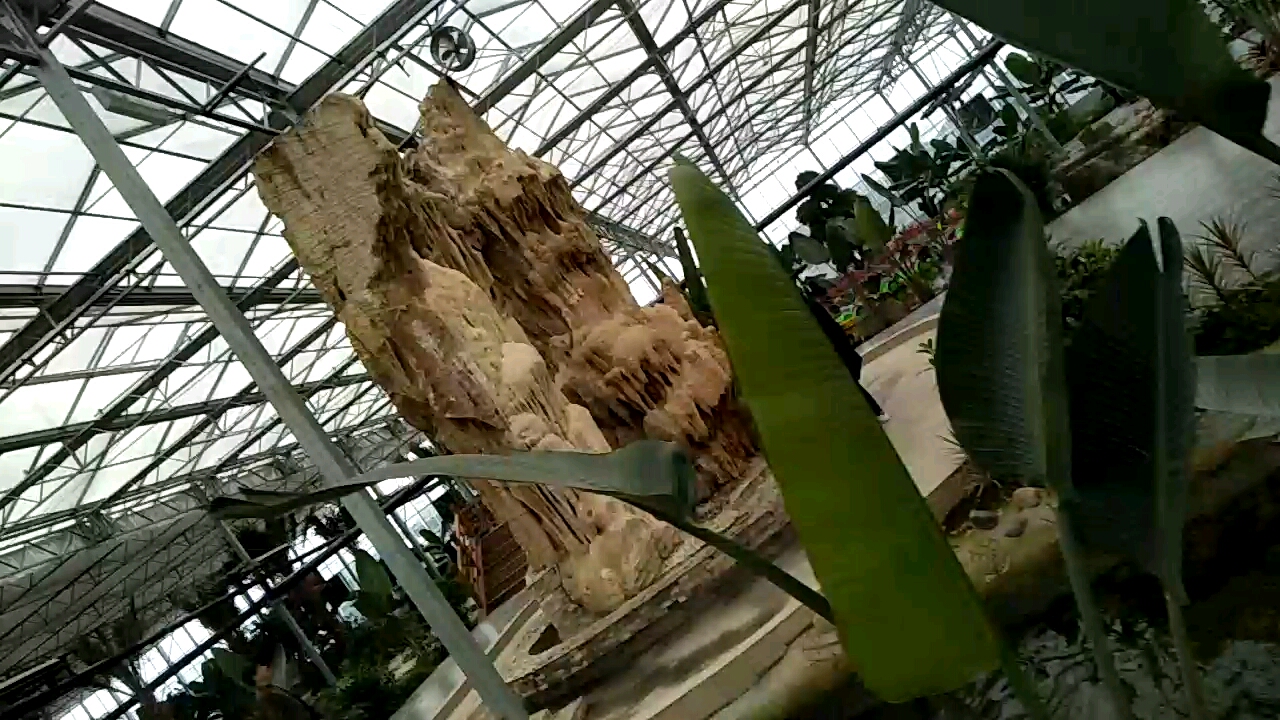 保定徐水-大午室内生态园,棚架造型别致,室内小桥流水,花开盛艳,深受