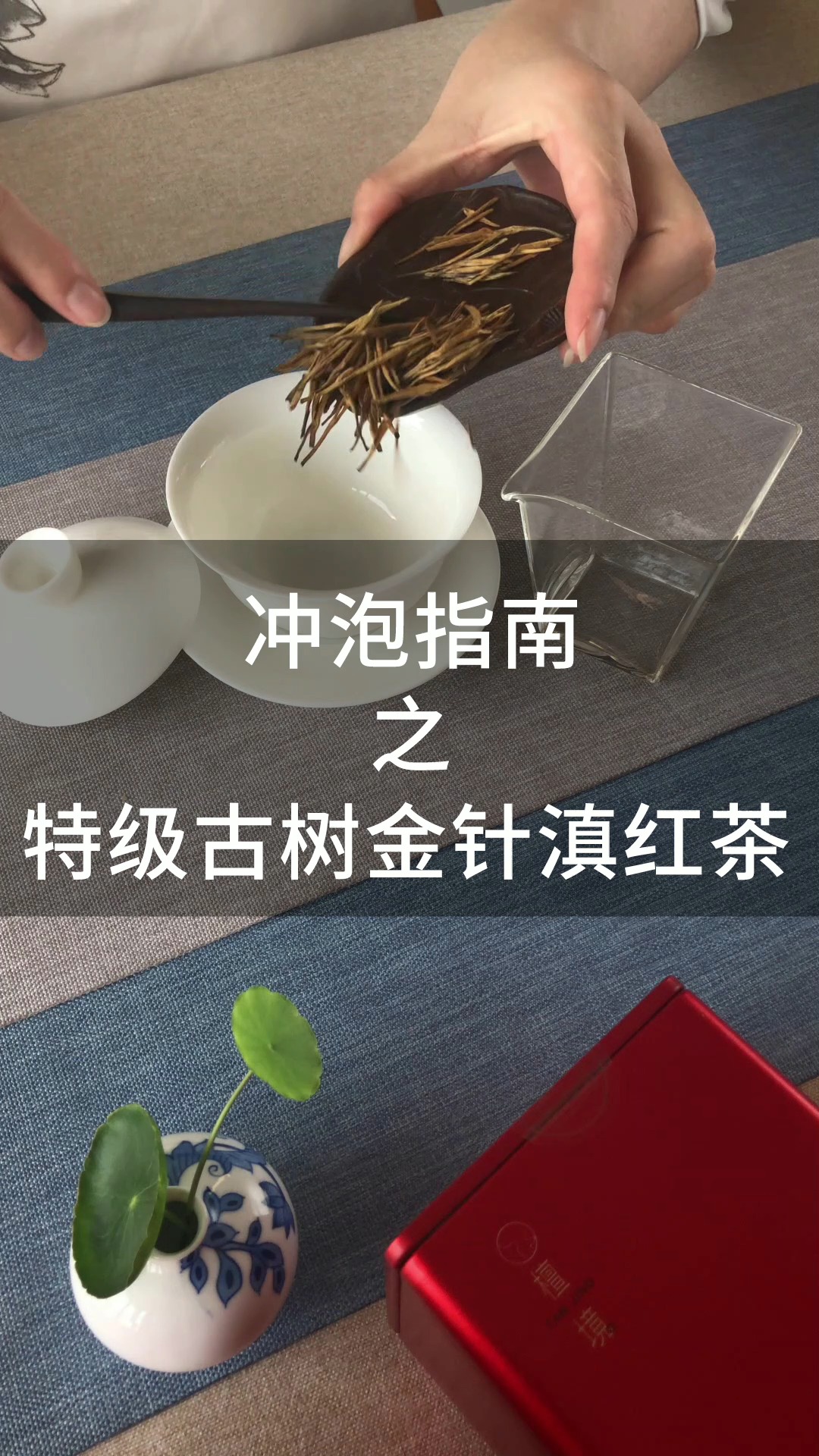 滇红茶#一杯功夫茶|特级古树金针滇红茶的正确泡法