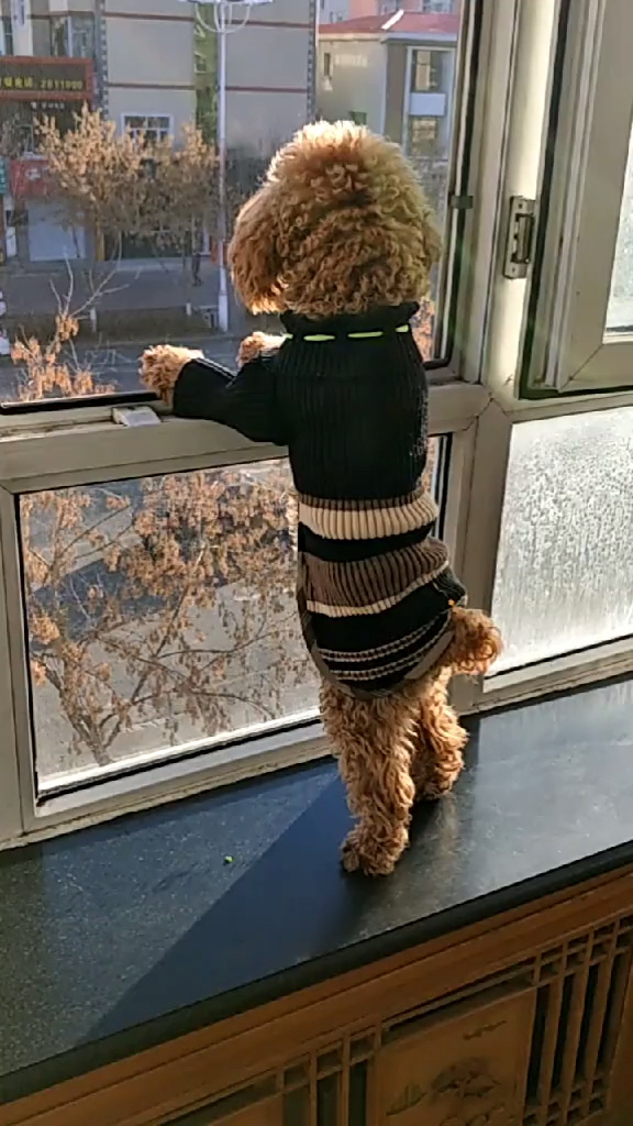 最美笑容征集#每天都这样趴着窗户等嘛嘛下班爱你宝宝