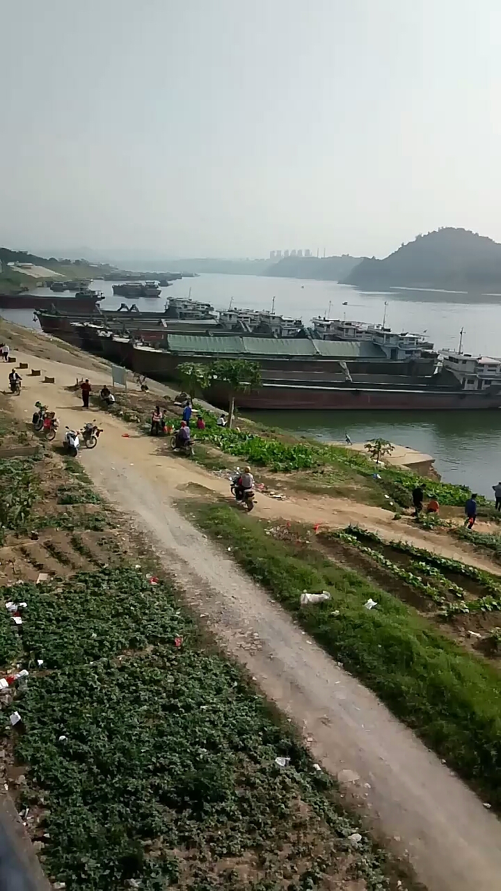 回家路上那些事#大年初四西江郁南段繁忙的渡口,漂亮的西江风景