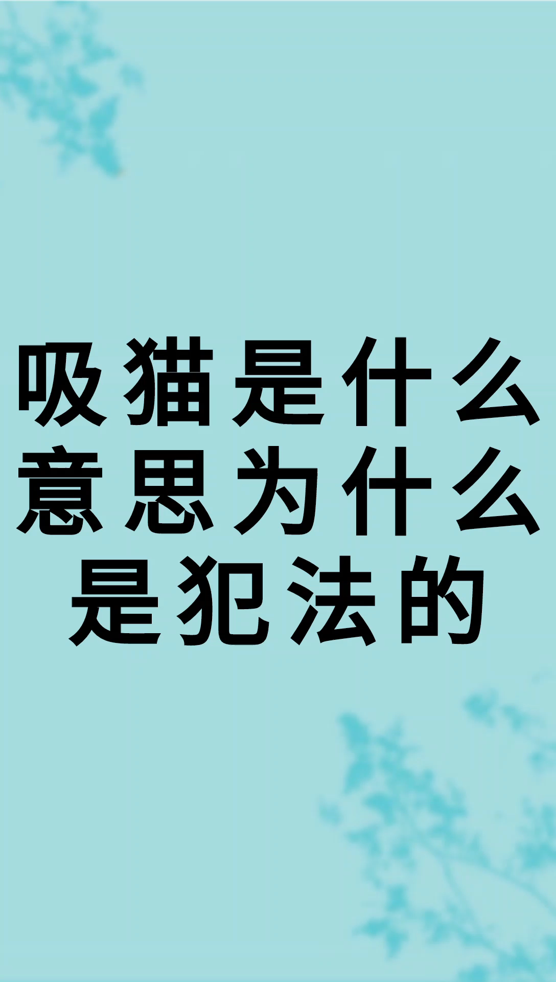 我来告诉你吸猫是什么意思为什么是犯法的