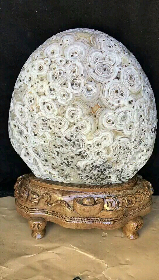 石头上长铜钱,我估计没有几个人见过