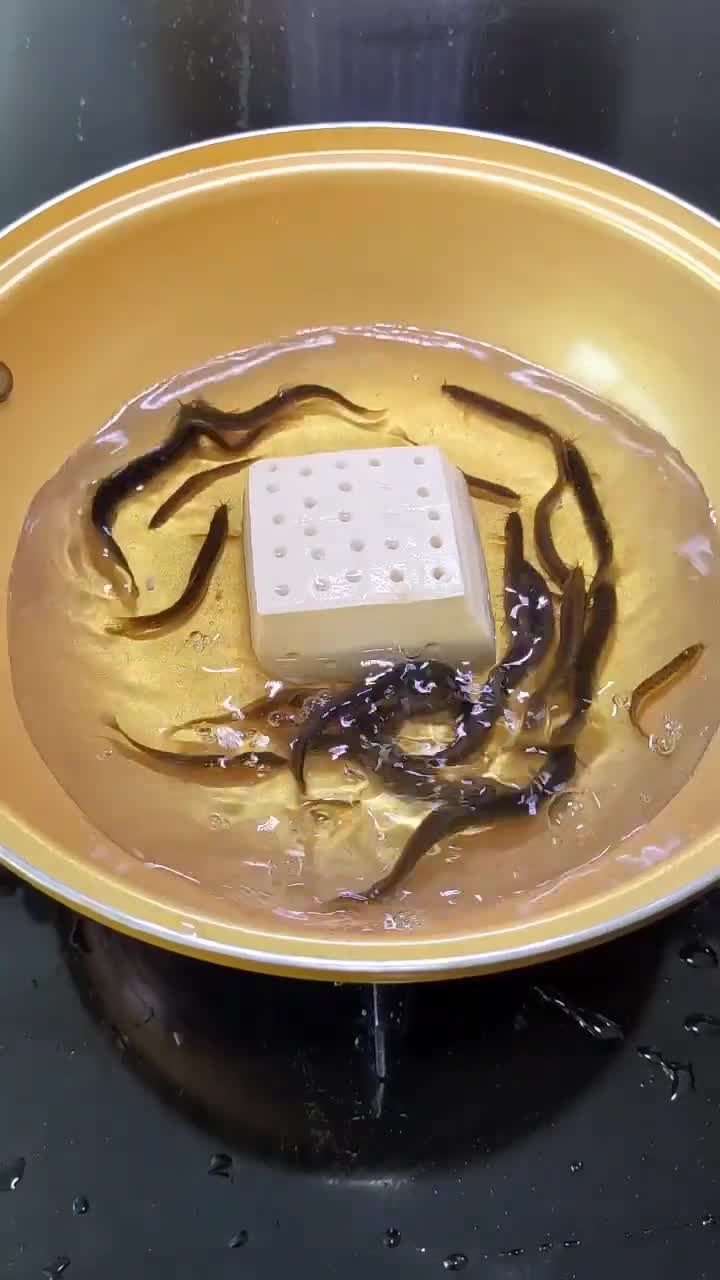 研究了半个月,终于掌握了泥鳅钻豆腐这道菜的精髓!