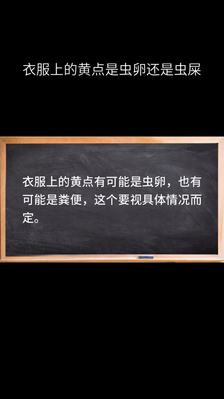 衣服上的黄点是虫卵还是虫屎