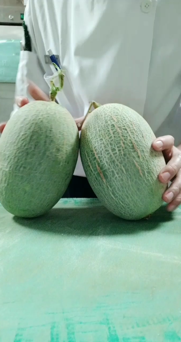 寻找最牛手艺人#原来,哈密瓜切皮也是这么简单的呀