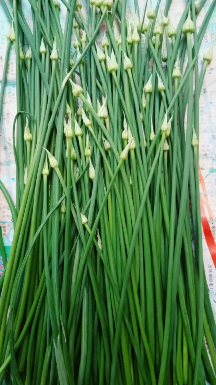 蒜苔咋线一样?十根也没我一根粗.