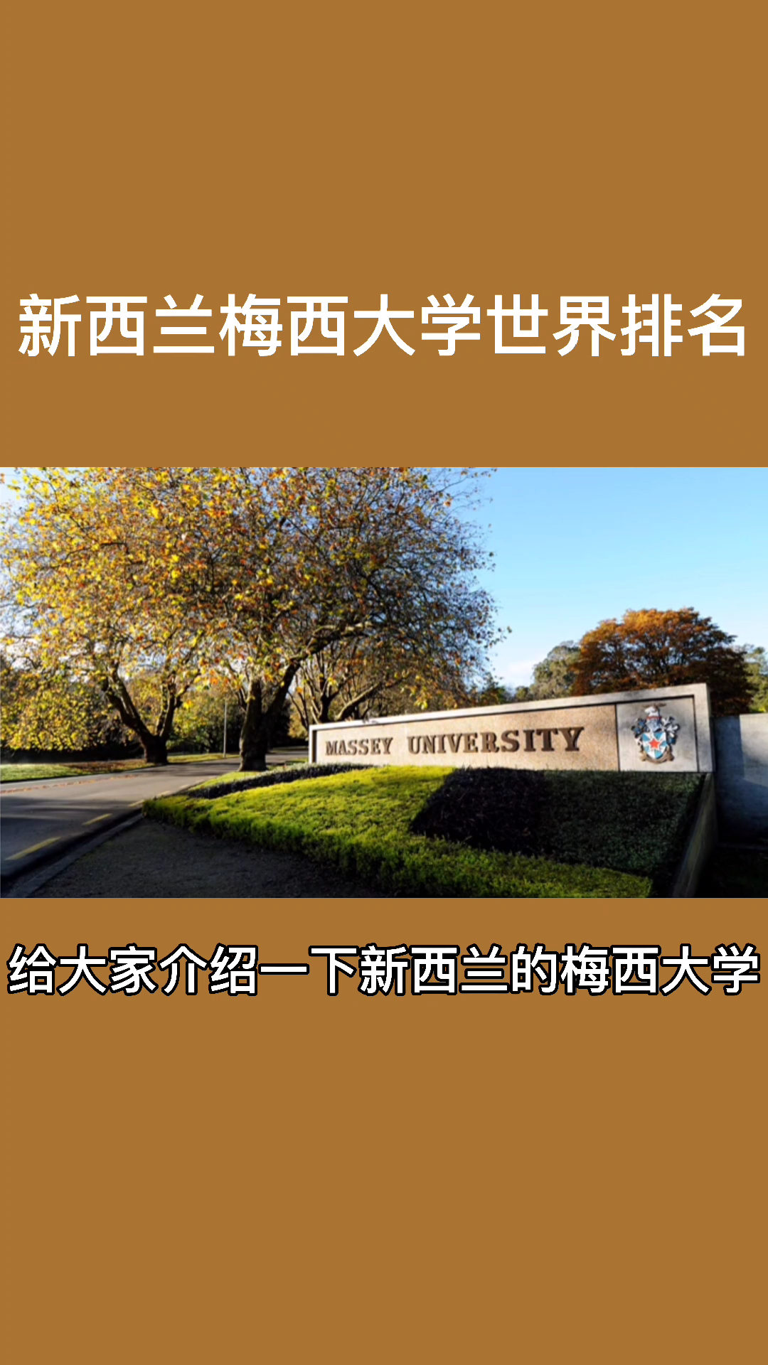 梅西大学summer school图片