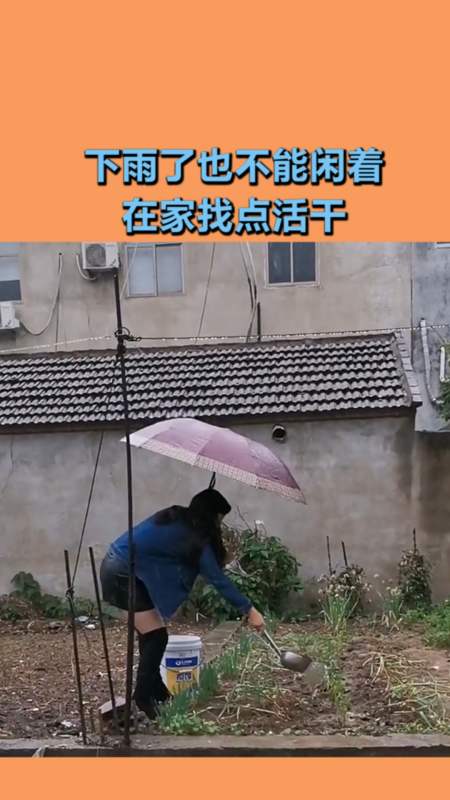 搞笑视频#下雨了也不能闲着,在家找点活干,风雨无阻!