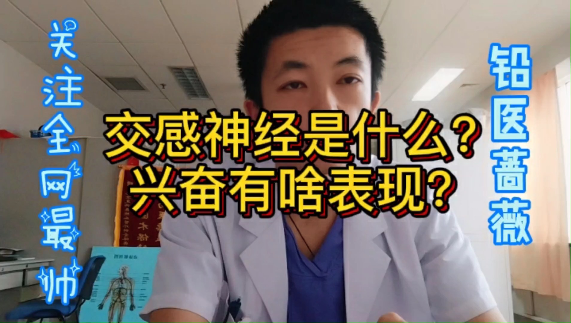 交感神经是什么?兴奋有什么表现?