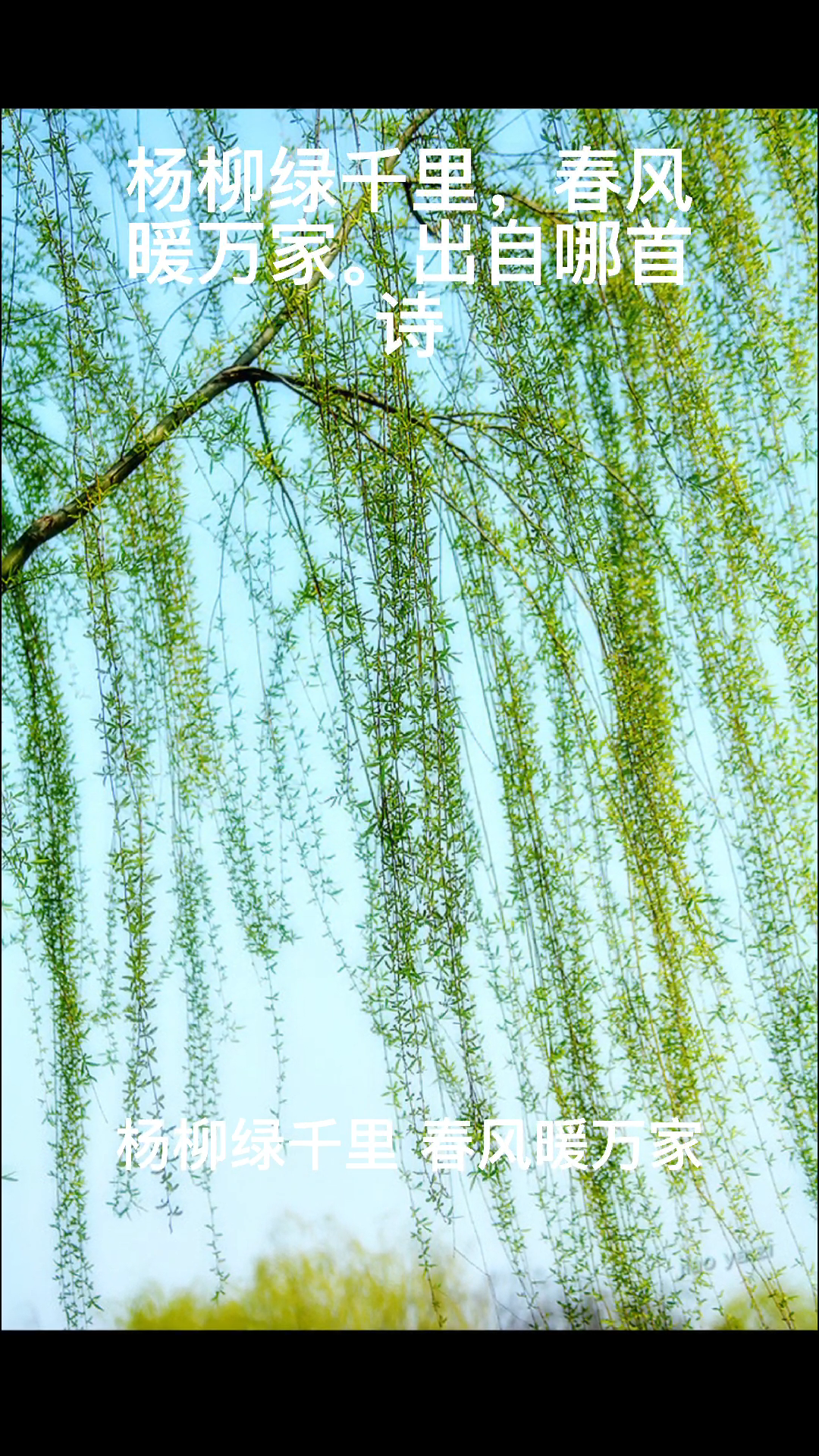 杨柳绿千里,春风暖万家,出自哪首诗?