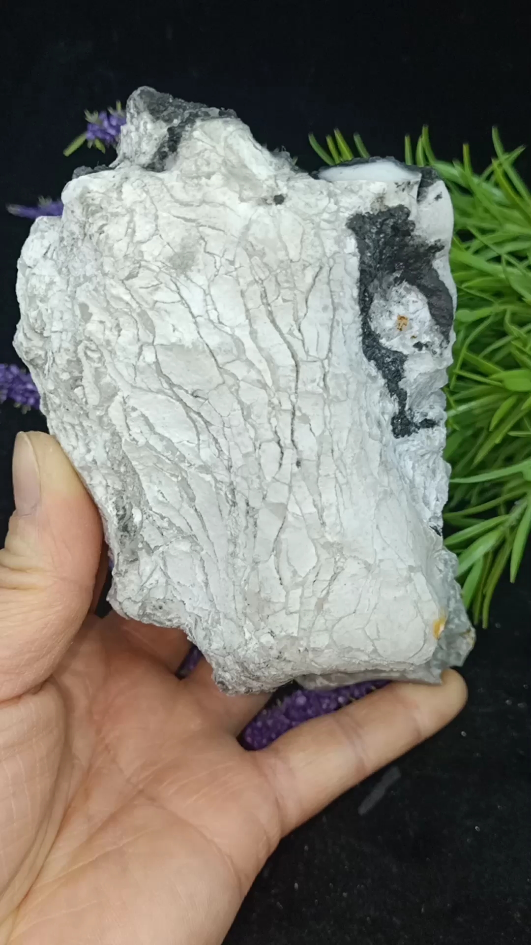 新疆哈密蛋白玉原石