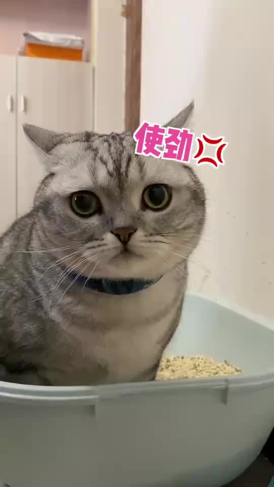 丑丑开塞露成瘾却得不到满足开始郁郁寡欢了