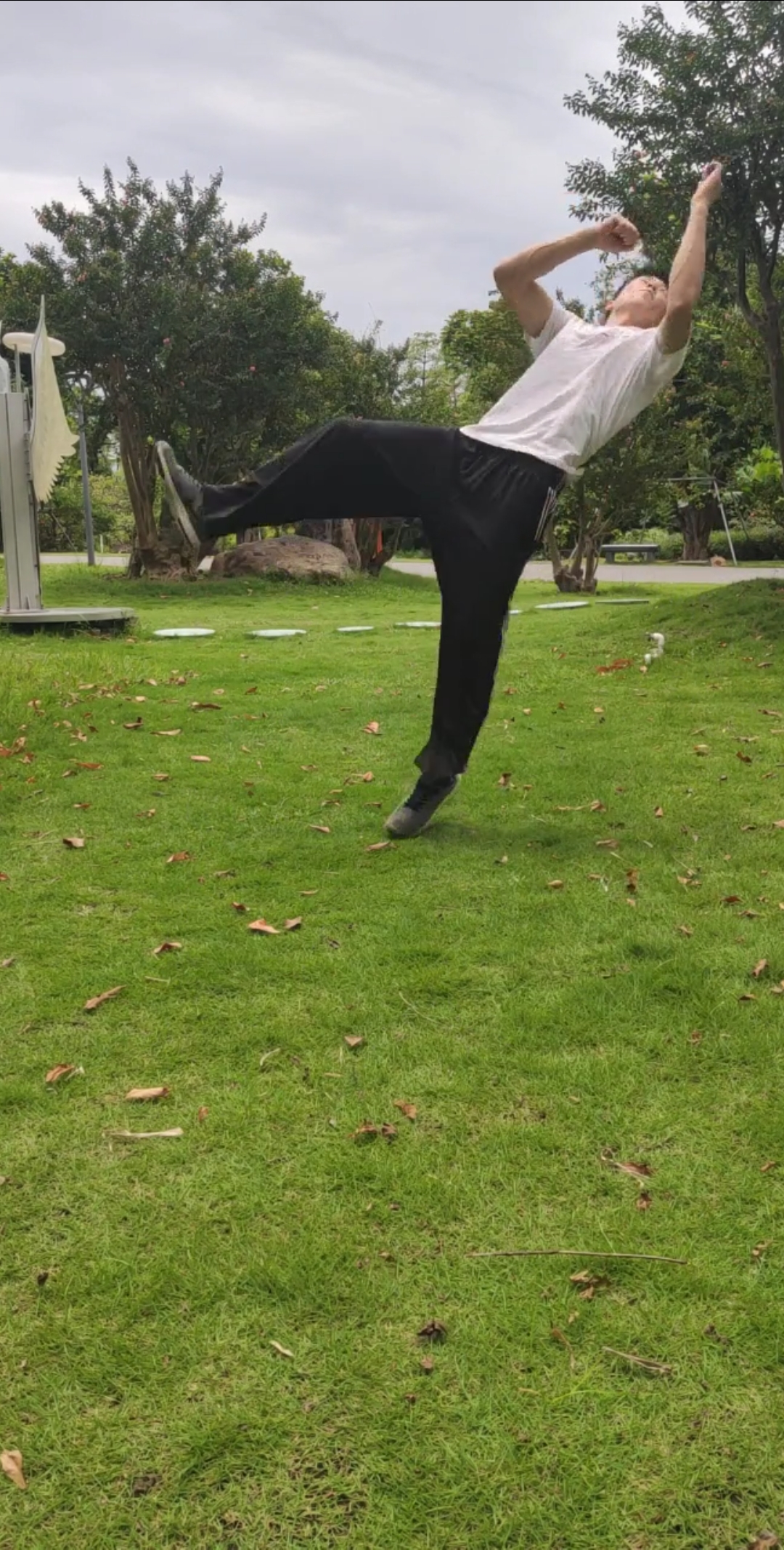 飞起来了. 踢月腿教学