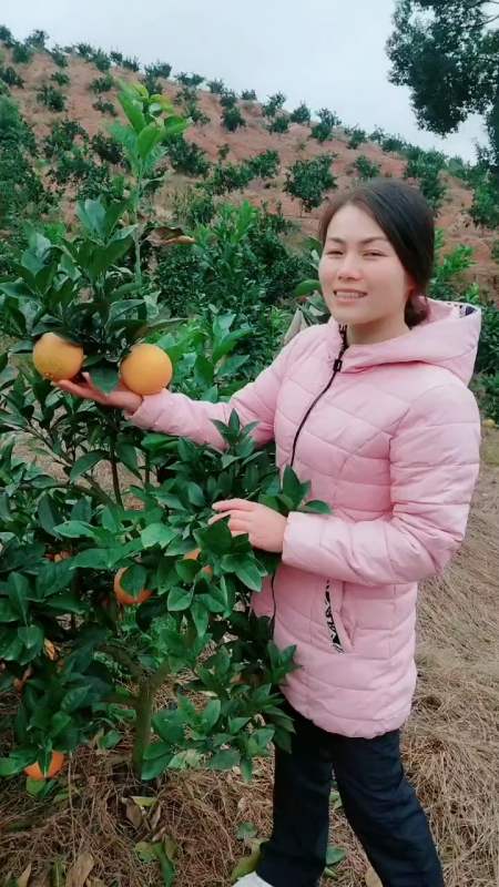 这么漂亮的果子我要去赴那个什么宴忘了新鲜水果创业农村女人