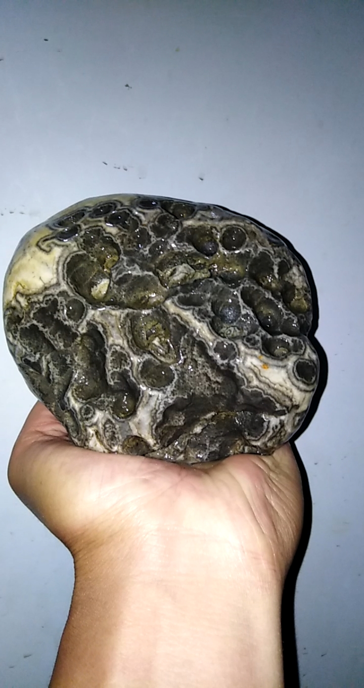 石头上的故事#这样的感觉火爆石非常少见难得,整个蜂窝窝状,密集阵