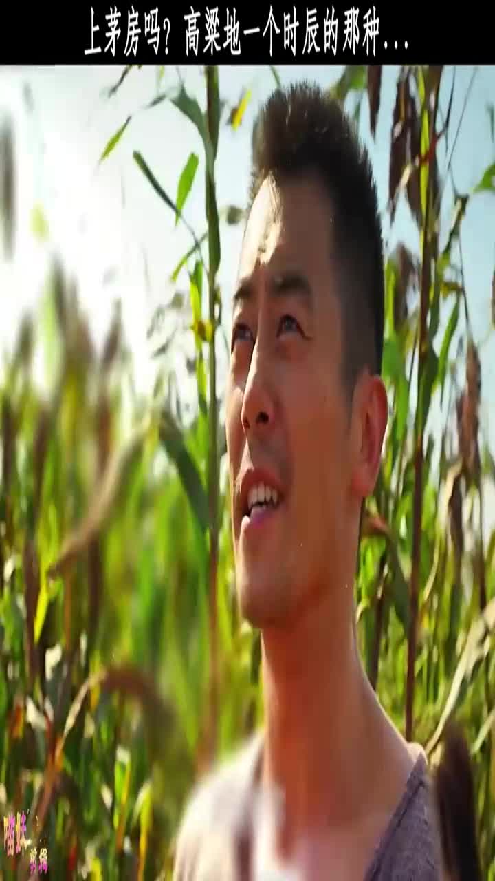 红高粱#朱亚文#周迅#歌曲抛绣球
