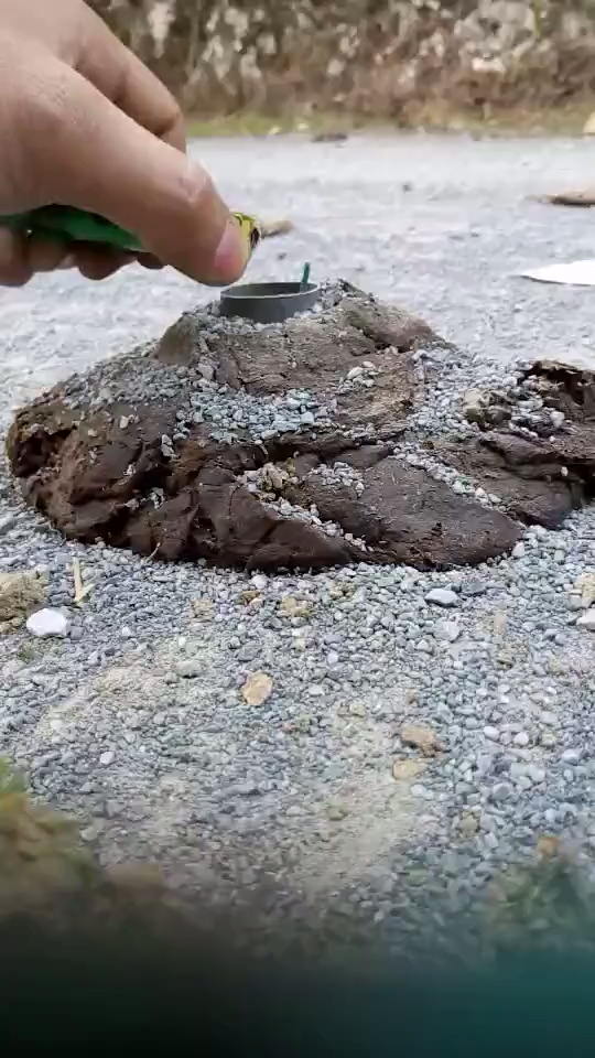 生命诚可贵拍片价更高炸牛粪啦!