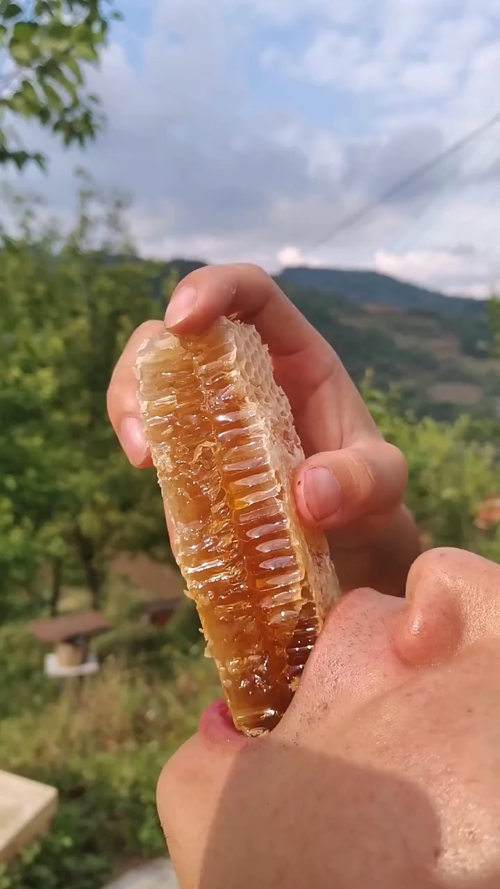 蜂巢蜜,嚼着吃很美味!