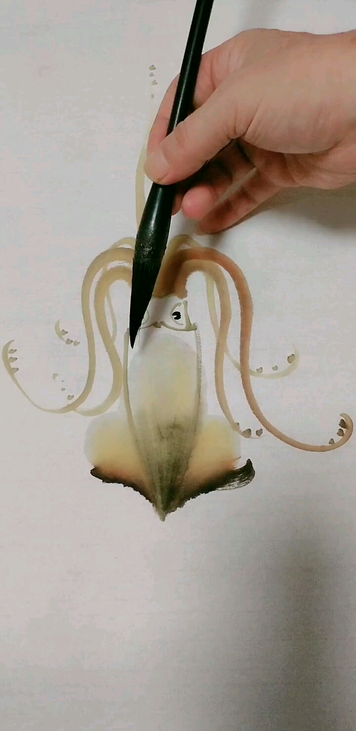 我要上热门#这么画鱿鱼,一看就会