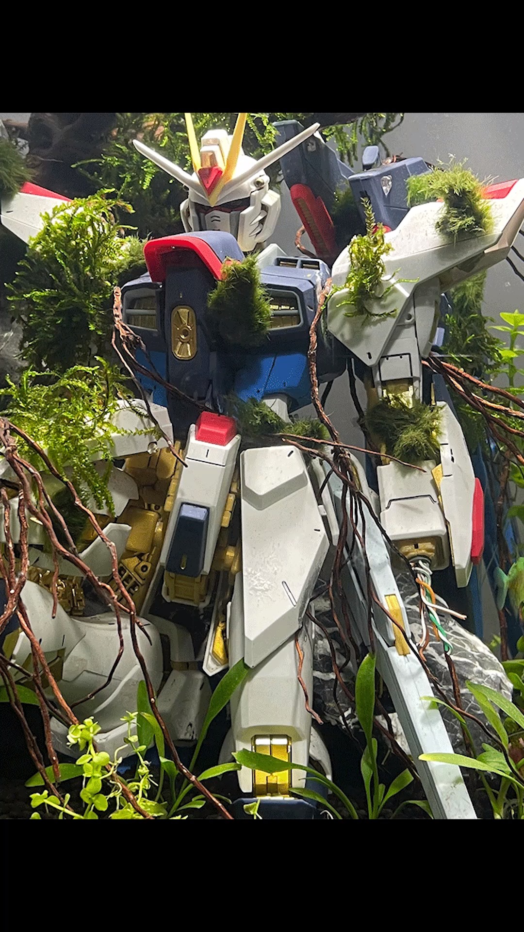 草缸造景沉睡吧高达草缸造景高达篇02