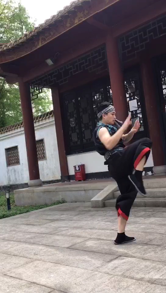 广西壮族古拳法:昂拳