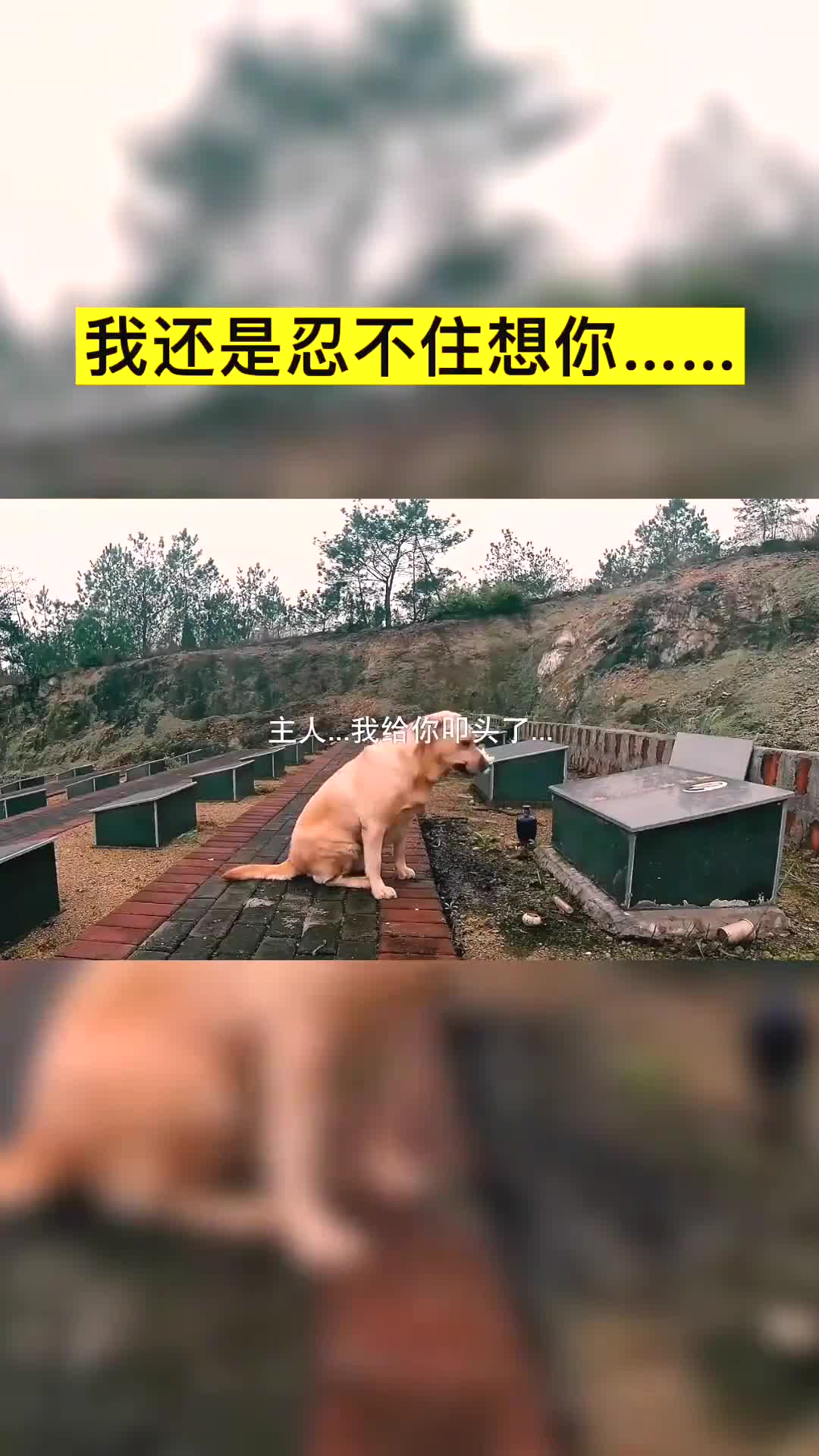 我要上热门忍不住想你,所以我来看看你